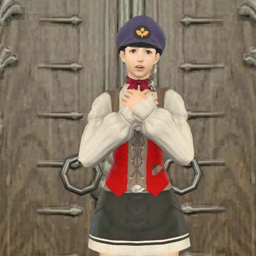 できるの?